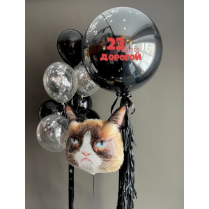 Набор шаров «Ворчливый кот с 23 февраля»